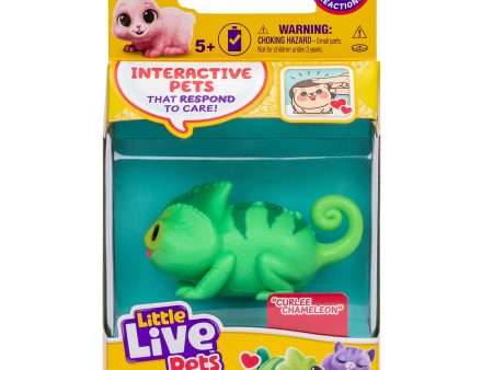 Little Live Pets Needees Kameleon For Discount